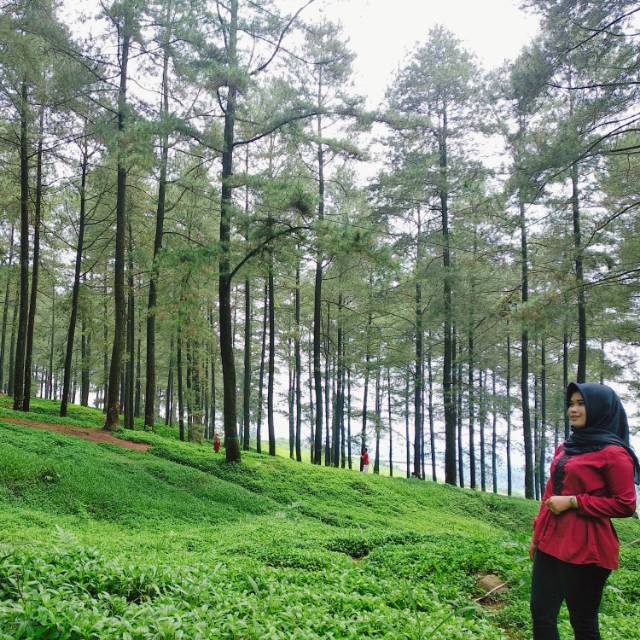 asridwi23