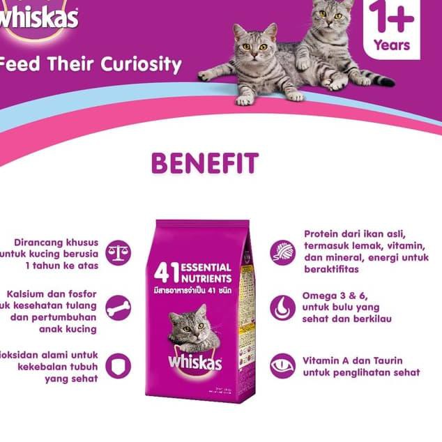 Xvd 002 Whiskas Dry 480gr Makanan Kucing Kering Rasa Tuna