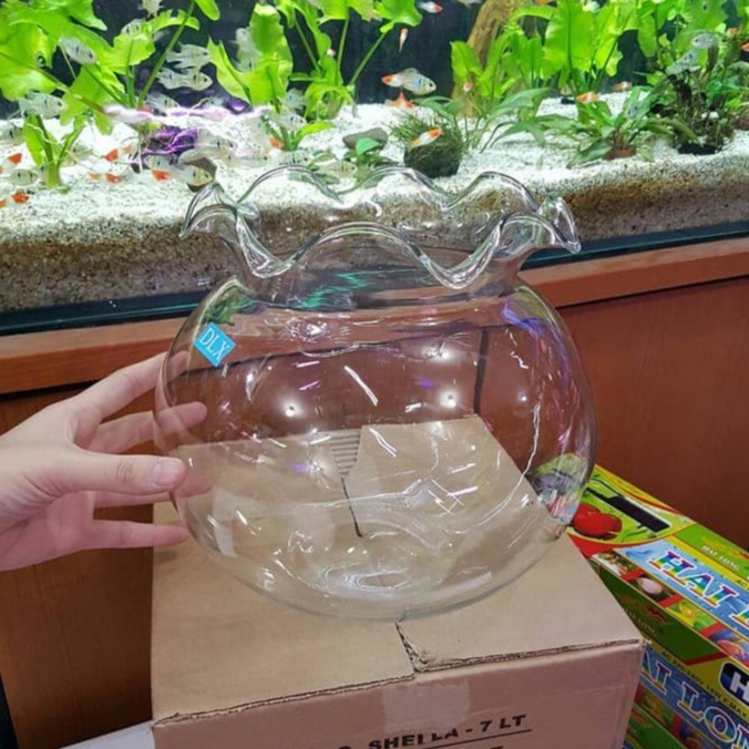 (GOJEK) AQUARIUM BULAT 7 dan 12 LITER / TOPLES SHELLA / FISH BOWL
