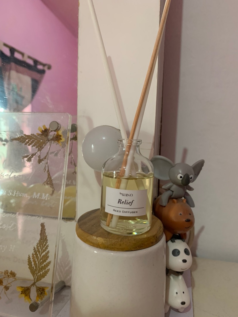Aromatherapy Reed Diffuser / Pengharum Ruangan Aromaterapi