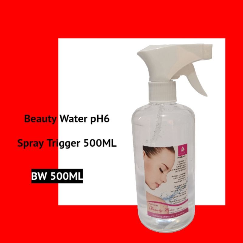 500 ML Spray Beauty Water pH6 Face Mist Ori Jepang mesin SD501 By Kangen Water