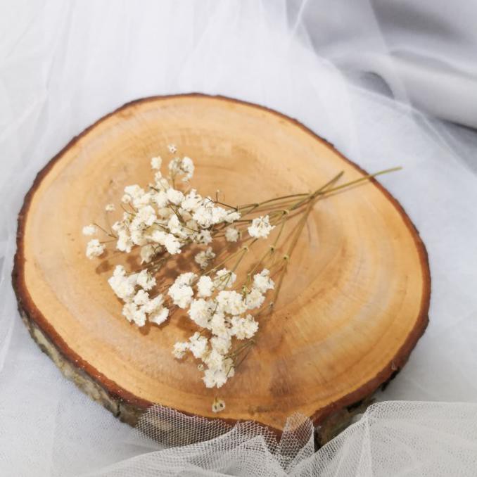 

Baby Breath Kering | Dried Flower | Gypsophila
