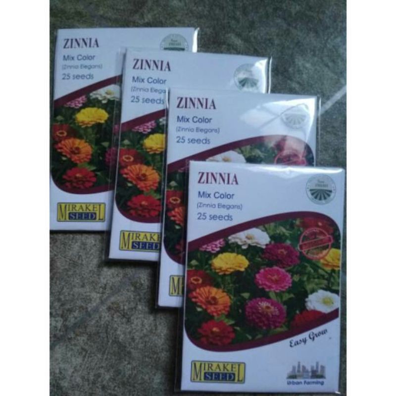 ZINNIA