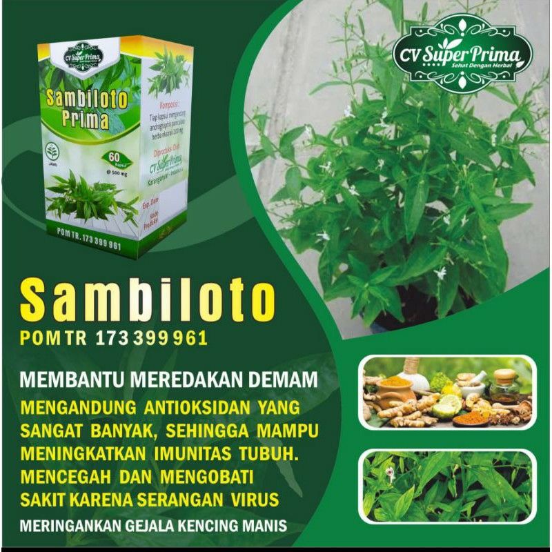Kapsul ekstrak sambiloto original
