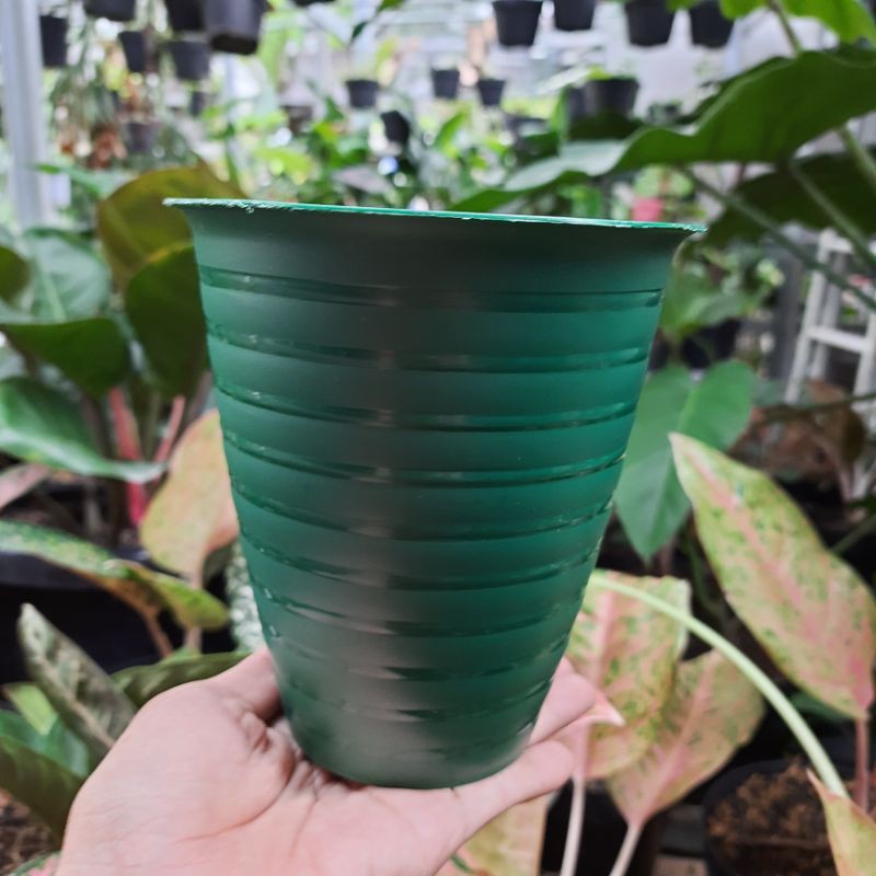 Pot Bunga Tabitha Lebah Pirus 10 Hijau / Pot Tanaman