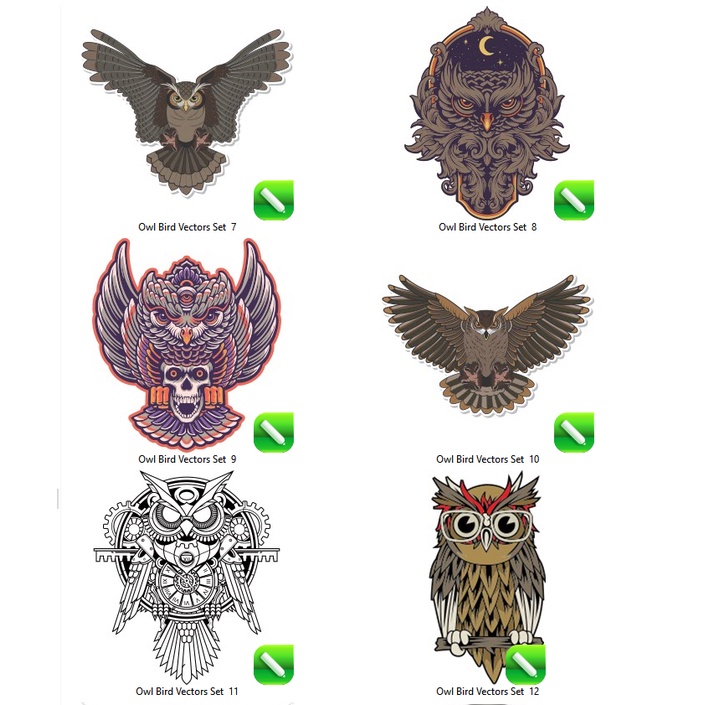 Owl Bird Vectors - Coreldraw