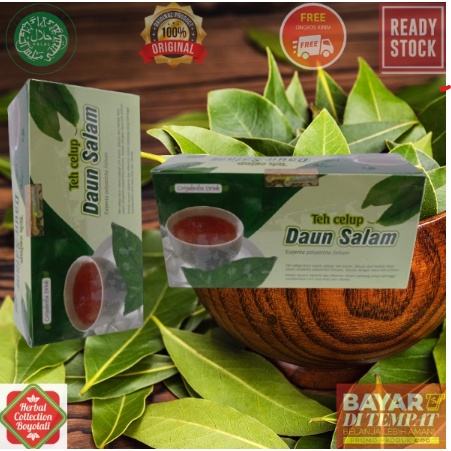 

Teh Daun Salam berkhasiat untuk asam urat dan rematik Halal 20 Kantong obat asam urat aman alami Griya Herba untuk asam urat alami berkualitas