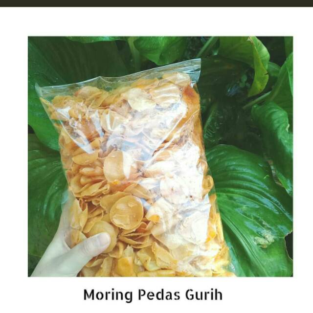 

Moring Asli Garut