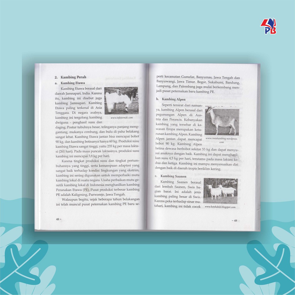Buku Peternakan : Prospek Usaha Penggemukan Kambing Potong-3
