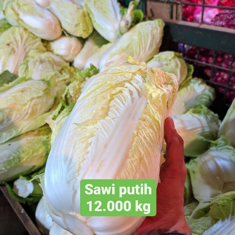 

Sawi putih 1kg