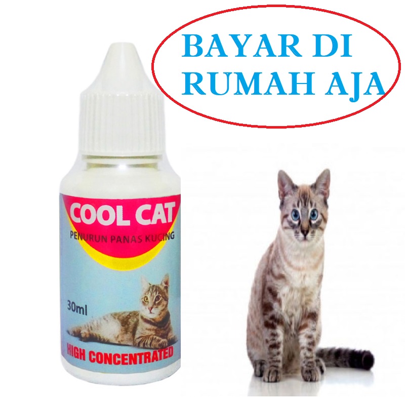 OBAT KUCING  DEMAM PENURUN PANAS KUCING AMPUH COOL CAT