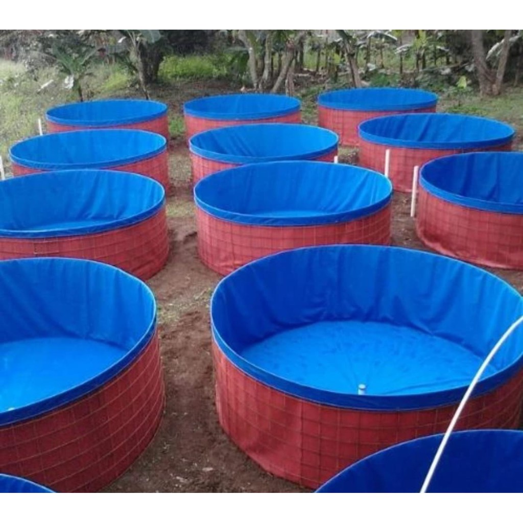 KOLAM TERPAL Bioflok  tanpa rangka besi