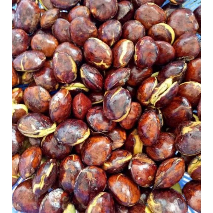 

Jengkol Tua Rp. 23.000/kg