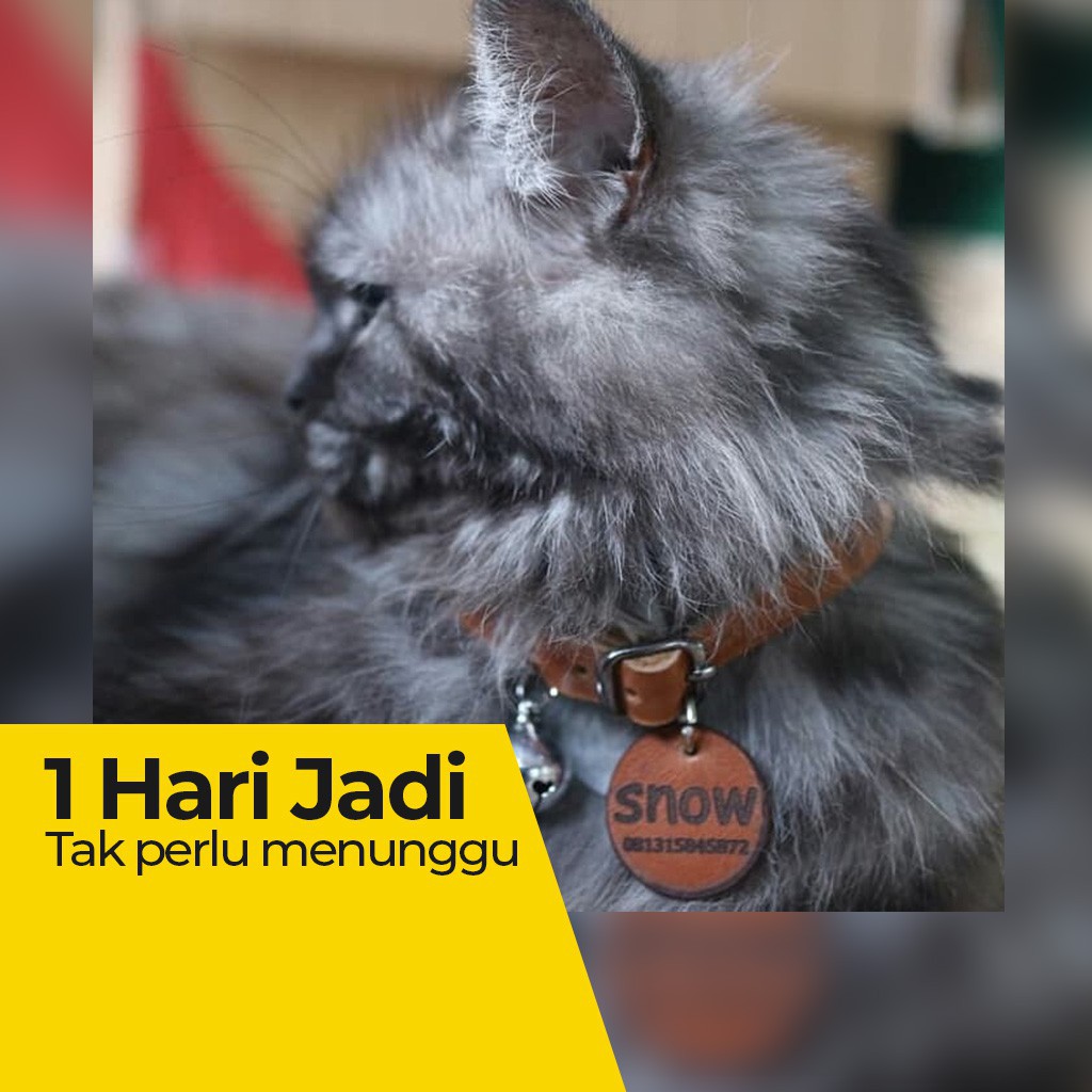 KALUNG KUCING MPUSS PAKAI LONCENG KRINCING - GRATIS UKIRAN NAMA