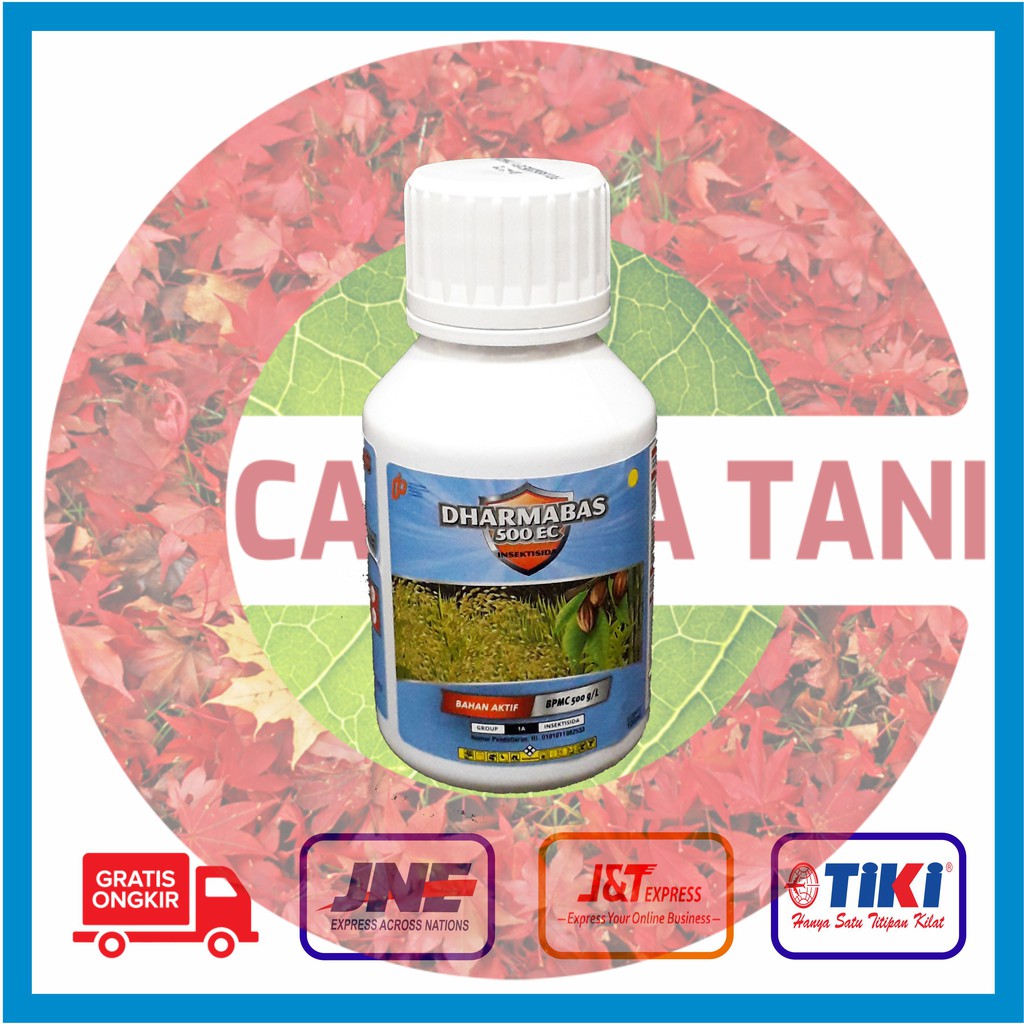 Dharmabas 500EC Insektisida @ 100 ml