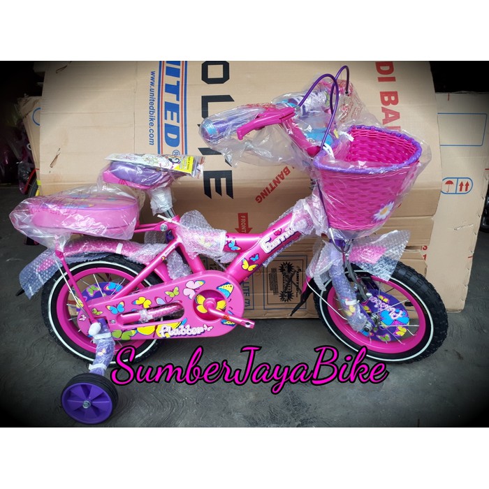 Jual sepeda anak mini 12 family flubber pink Berkualitas
