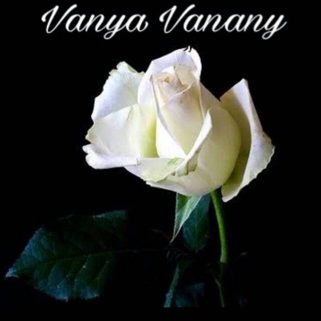 vanyavanany