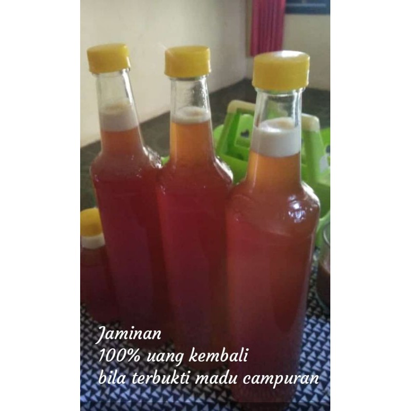 

MADU ODENG /MADU HUTAN ASLI ( Lestari Madu )