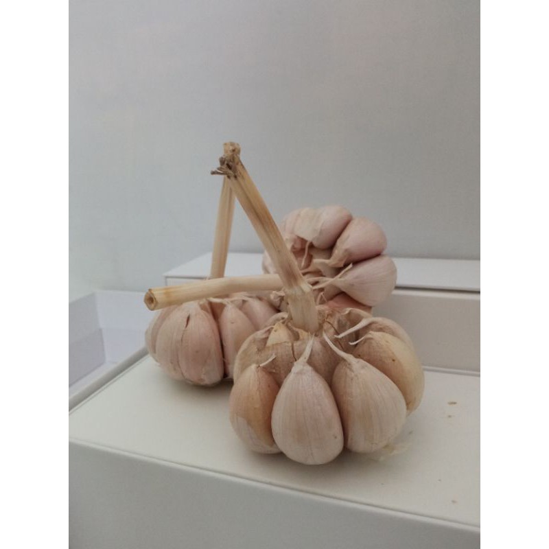 

Bawang putih harga /250gr