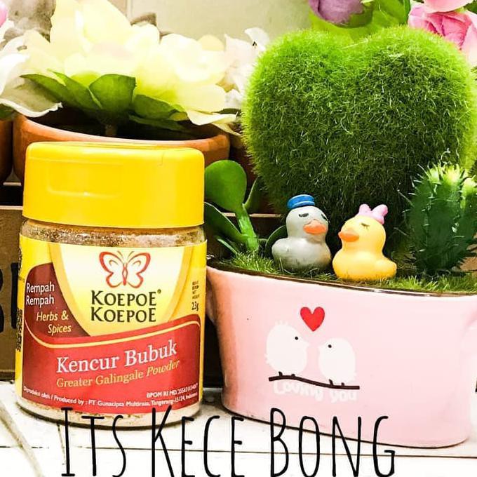 

BERKUALITAS! Koepoe-Koepoe Kencur Bubuk 23gr / Greater Galingale Powder