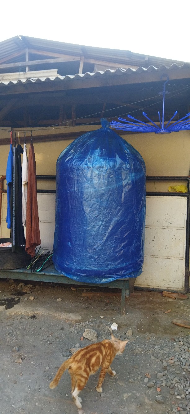 Pennyu Tangki Tandon Toren Air Blake Series 570 L (tipe 55)