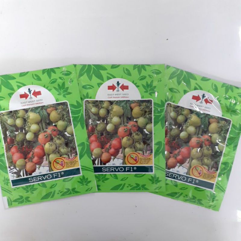 Benih Tomat Hibrida SERVO F1