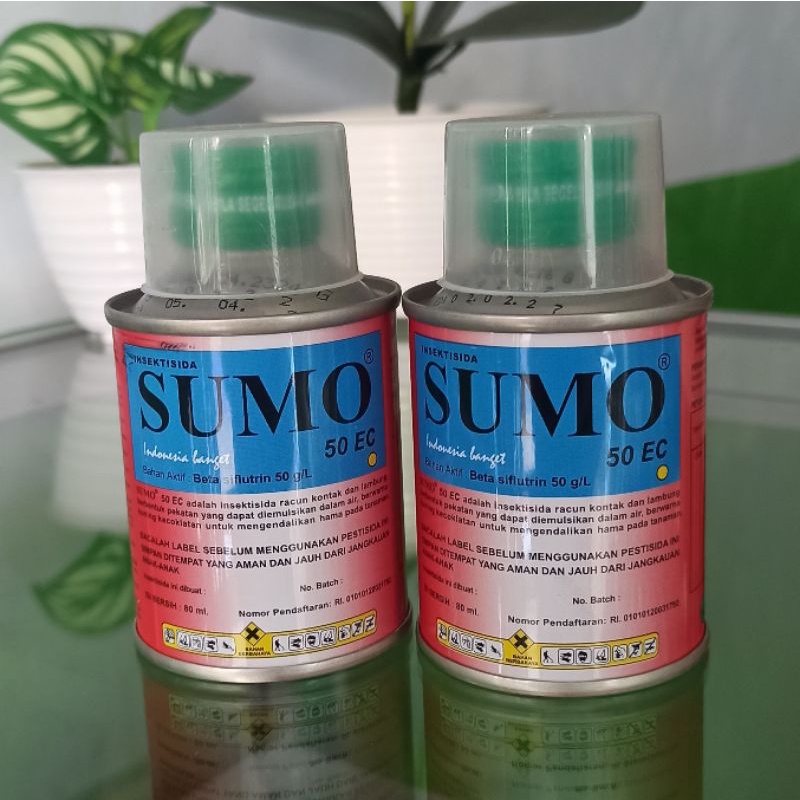Insektisida sumo wereng walang sundep sumo