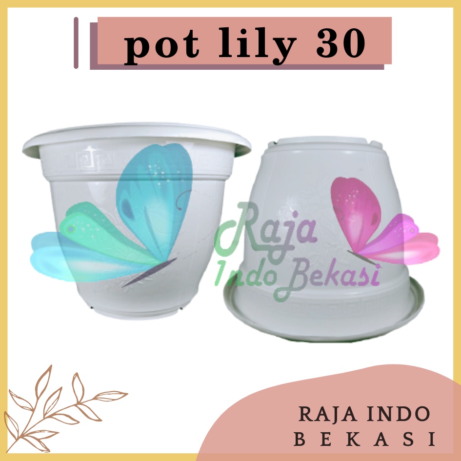 Pot Bunga Lily 30 Putih Pot Lili Tanaman Aglonema Murah Grosir Pot Lidah Mertua Vas Bunga Plastik