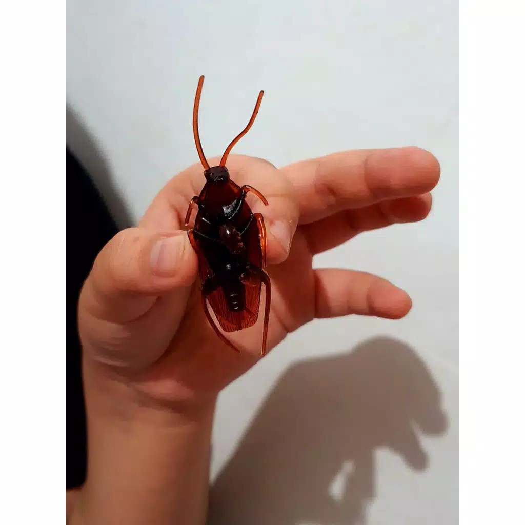 Kecoa Palsu Kecoak Mainan Mirip Asli untuk prank cockroach Toys gag
