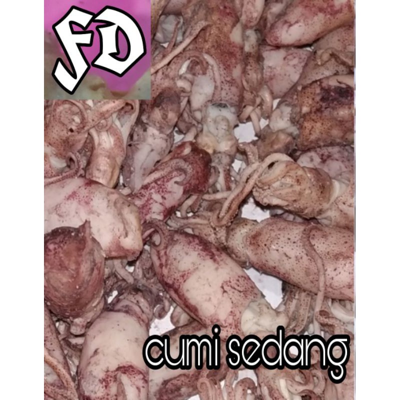 

Ikan asin cumi asin rebus fresh