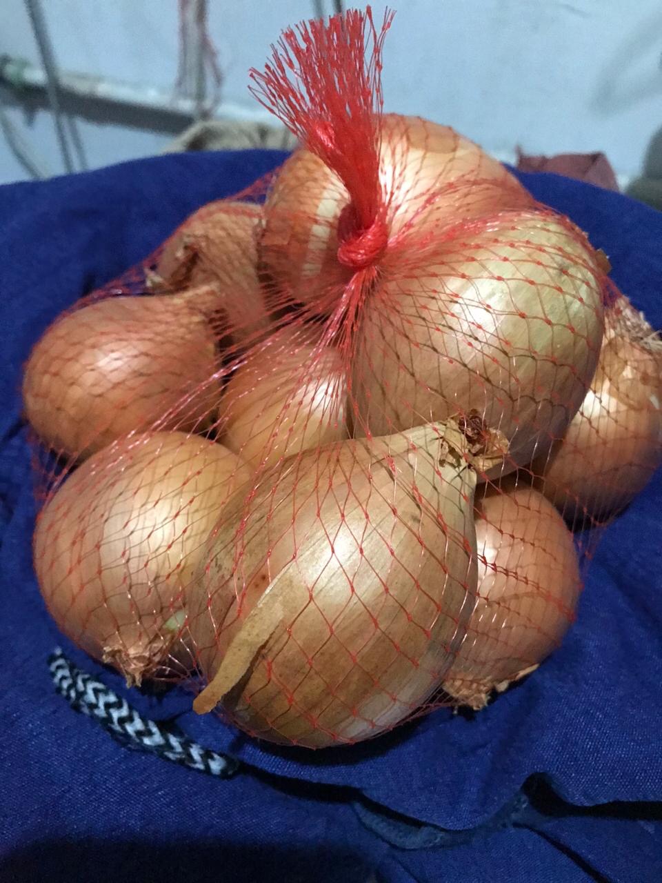 Bawang Bombai/bombay Fresh