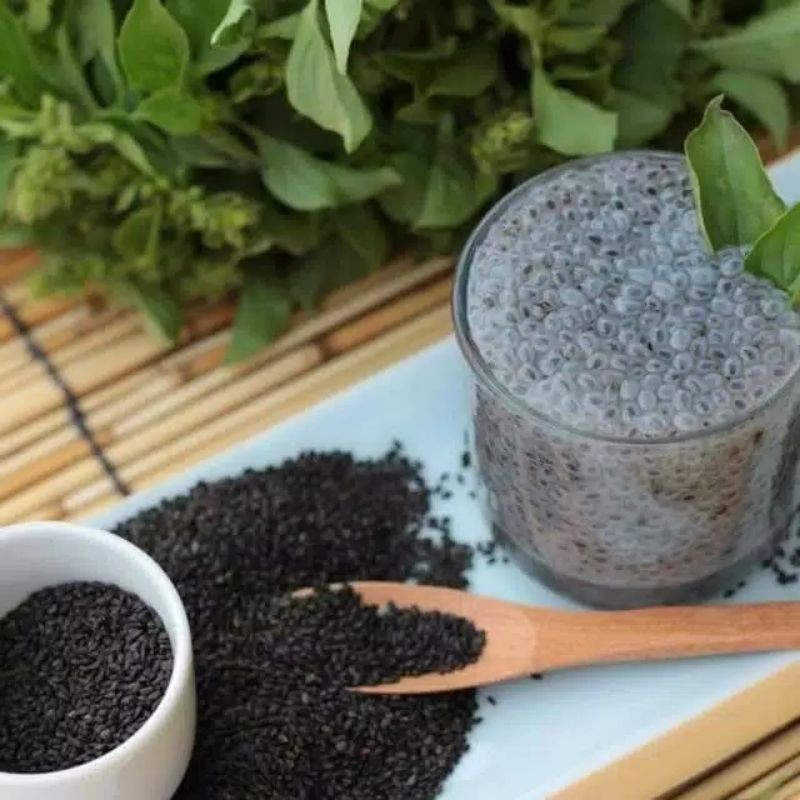 

BIJI SELASIH /BASIL SEEDS IMPORT SUPER QUALITY 1 ONS