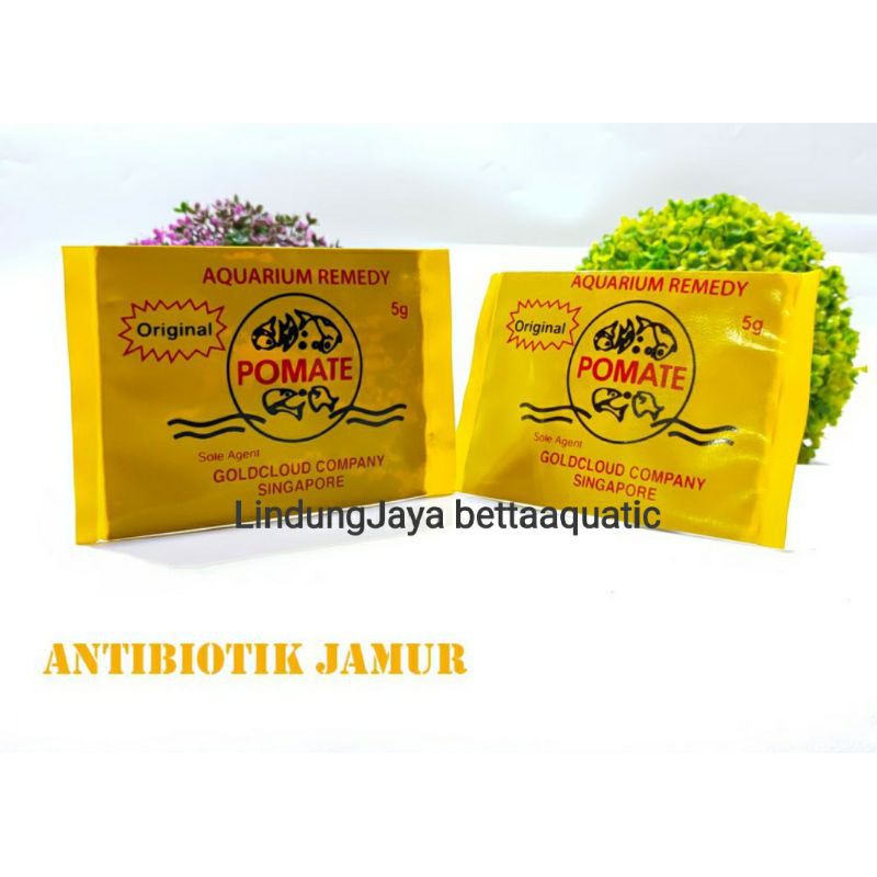 POMATE Singapura Obat Ikan Pomet Arwana Ikan Hias Jamur Pomed White spot