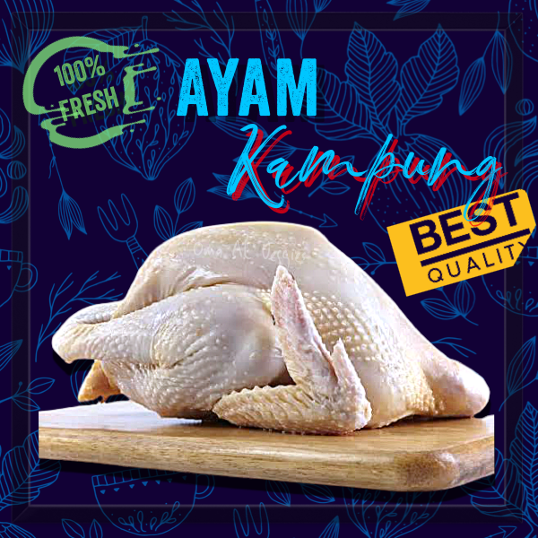 

AYAM KAMPUNG FRESH PER EKOR (700 -800 Gr)