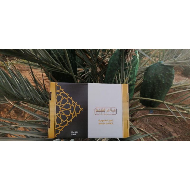 

Kurma Ajwa Aliyah Jumbo 1000g