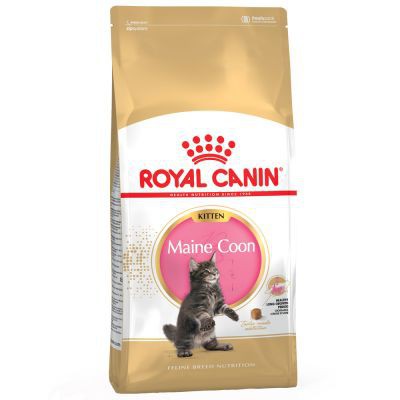 Makanan Kucing Royal Canin Kitten Mainecoon 400gr - Dryfood Non Repack