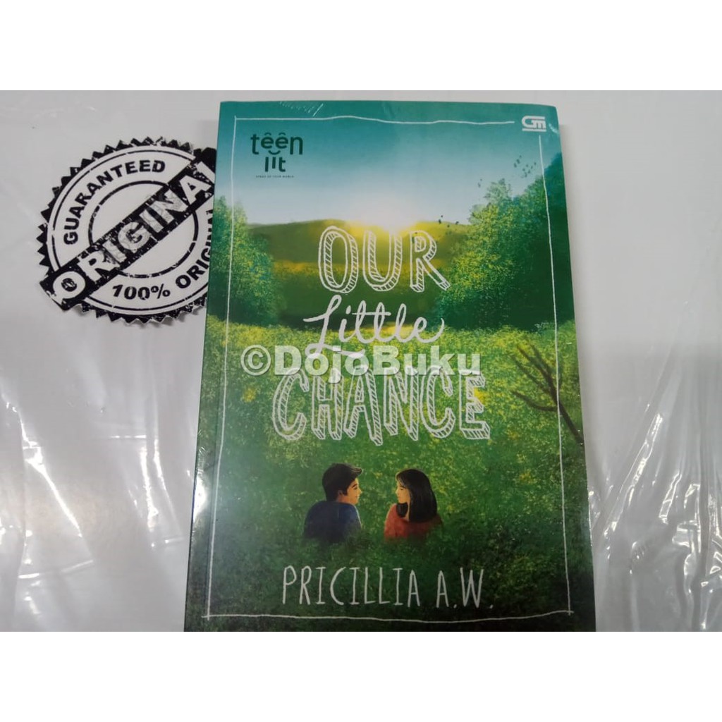 TeenLit: Our Little Chance by Pricillia A.w.