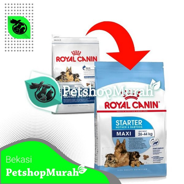 Makanan Anjing Royal Canin Maxi Starter Mother &amp; Babydog 4 Kg