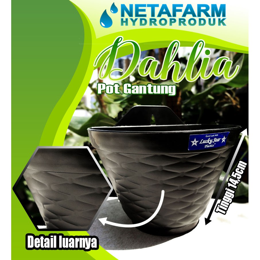 Pot gantung tanaman dahlia ( L : 19,5 cm )