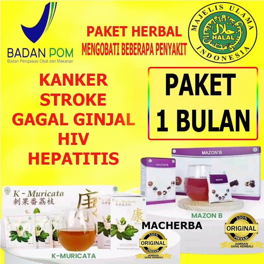 Mazon B Obat Herbal Jantung Kolesterol Stroke Hepatitis TBC dan HIV ORIGINAL 100% ASLI Menghambat pe