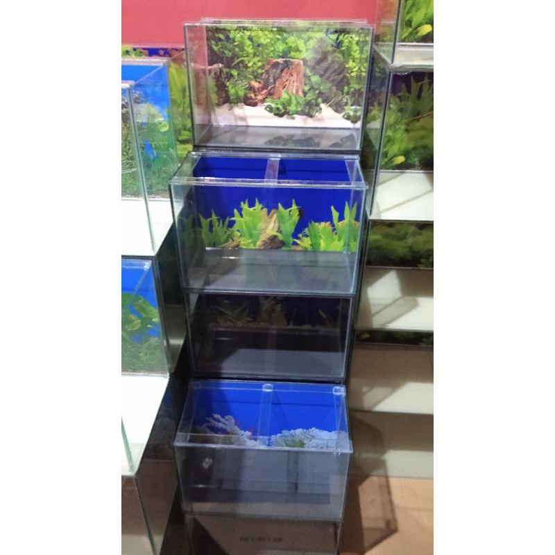 Aquarium 40x20x25 background