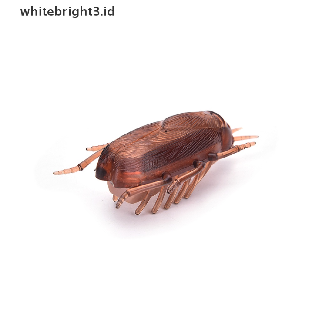 (whitebright3.id) Mainan Interaktif Kecoa Elektronik Tenaga Baterai Untuk Kucing