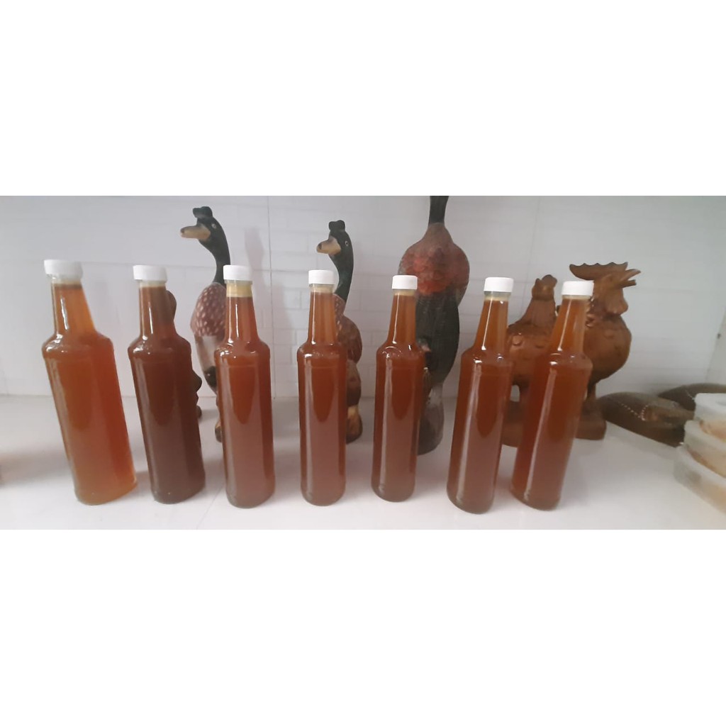 Madu Tawon Liar 100% Asli Murni