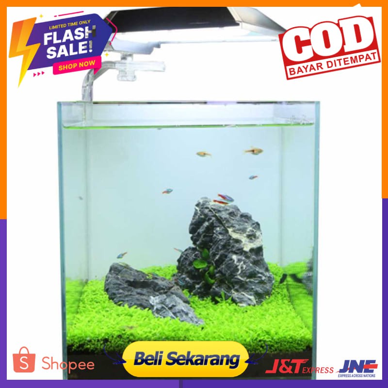 Bibit Rumput Air Dekorasi Aquarium Landscape Ornament - H0027