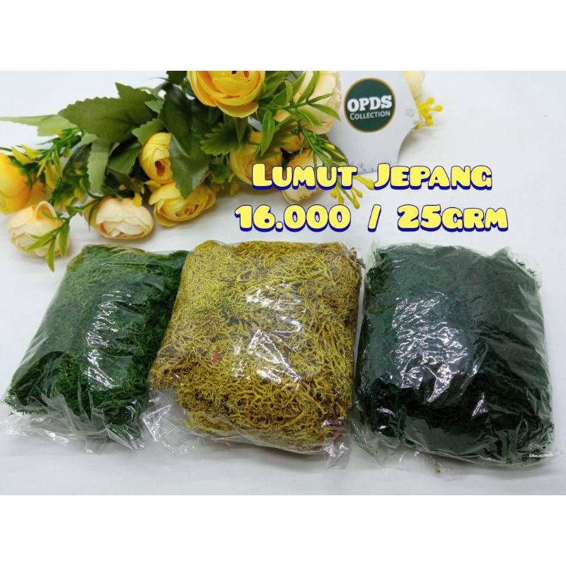 Lumut Jepang Lumut Sintetis Rumput Artificial