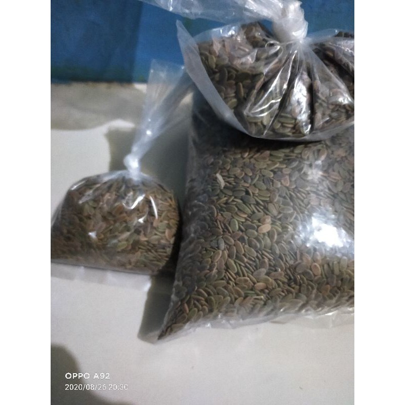 

bibit benih sengot laut super 100 gram