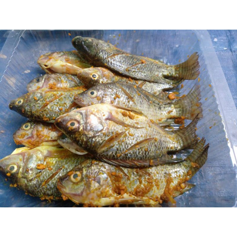 

Ikan Jaer Mujair Mujaer Bumbu Kuning 500 gram | 500gram