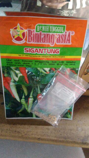 [√cod] Benih Bibit Cabe Rawit Sigantung 10 Gram - Tipe Merunduk Bintang Asia