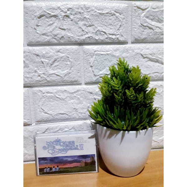 Kaset METEOR GARDEN II