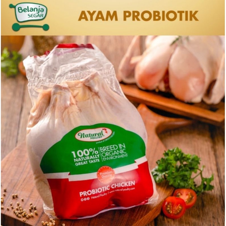 

Ayam Probiotik Reguler (800-900 gram) Natural Poultry